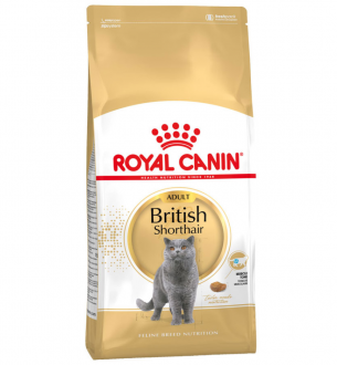 Royal Canin British Shorthair Adult 2 kg Kedi Maması kullananlar yorumlar